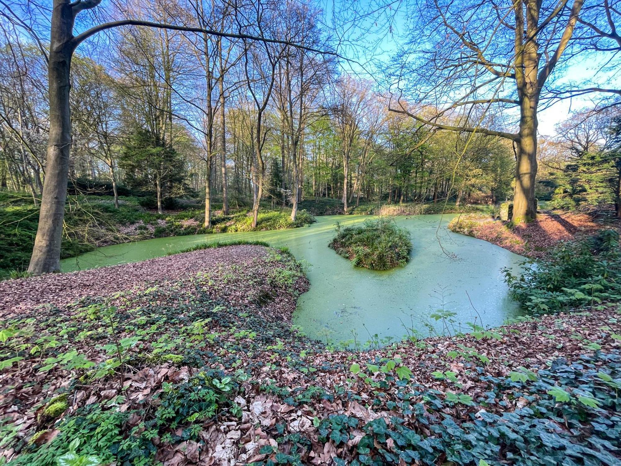 Landhaus Beim Knoops Park Bremen Exterior foto